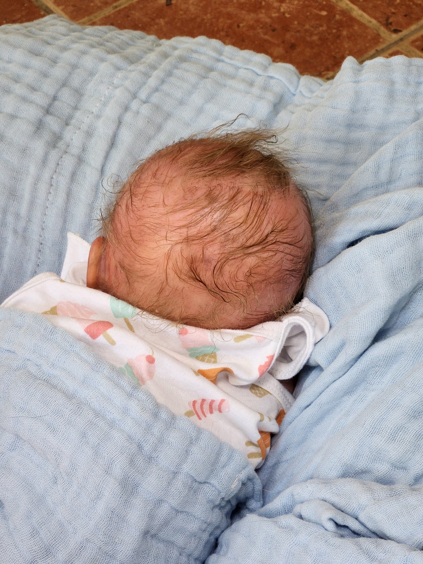 Reborn Baby New Release Milan
