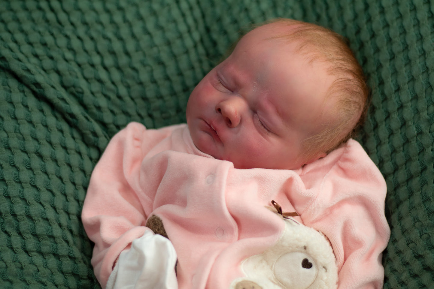 Reborn Cuddle Baby SOLE "Asher" By Bountiful Baby