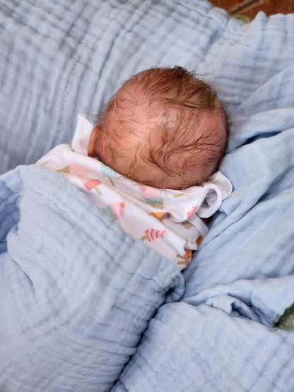 Reborn Baby New Release Milan