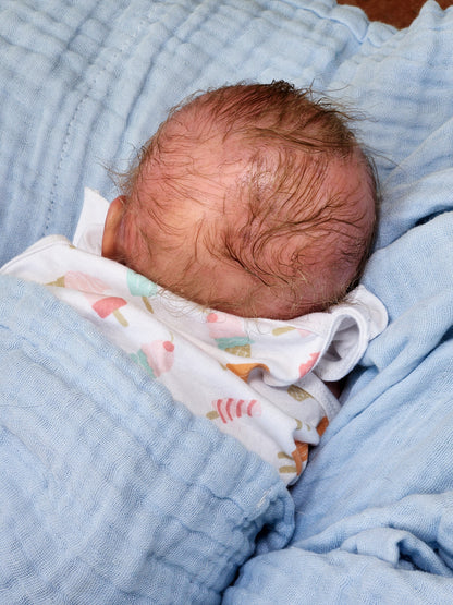 Reborn Baby New Release Milan