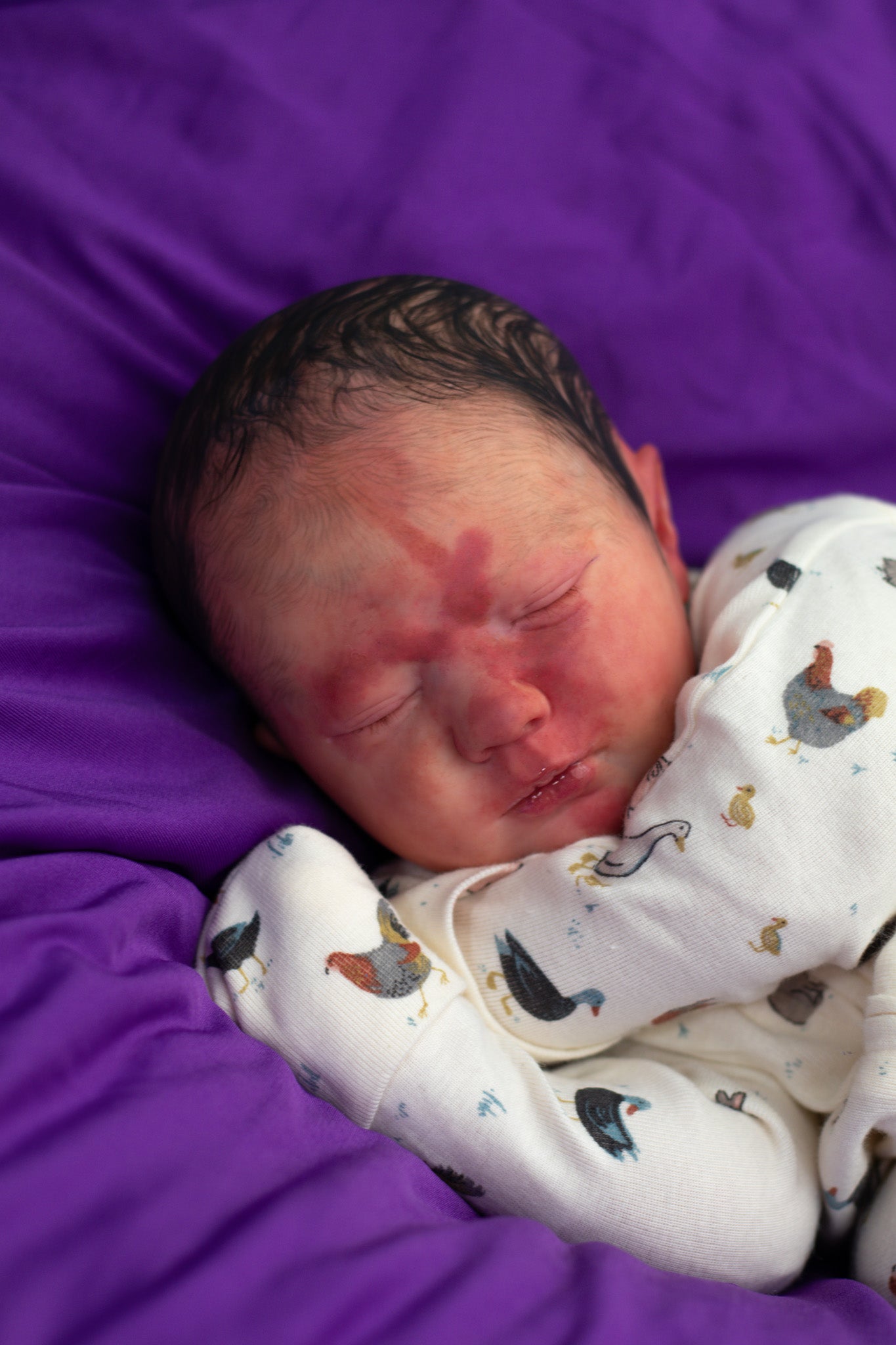 Reborn Cuddle Baby "Olin Wolverine" |Logon by Bountiful Baby