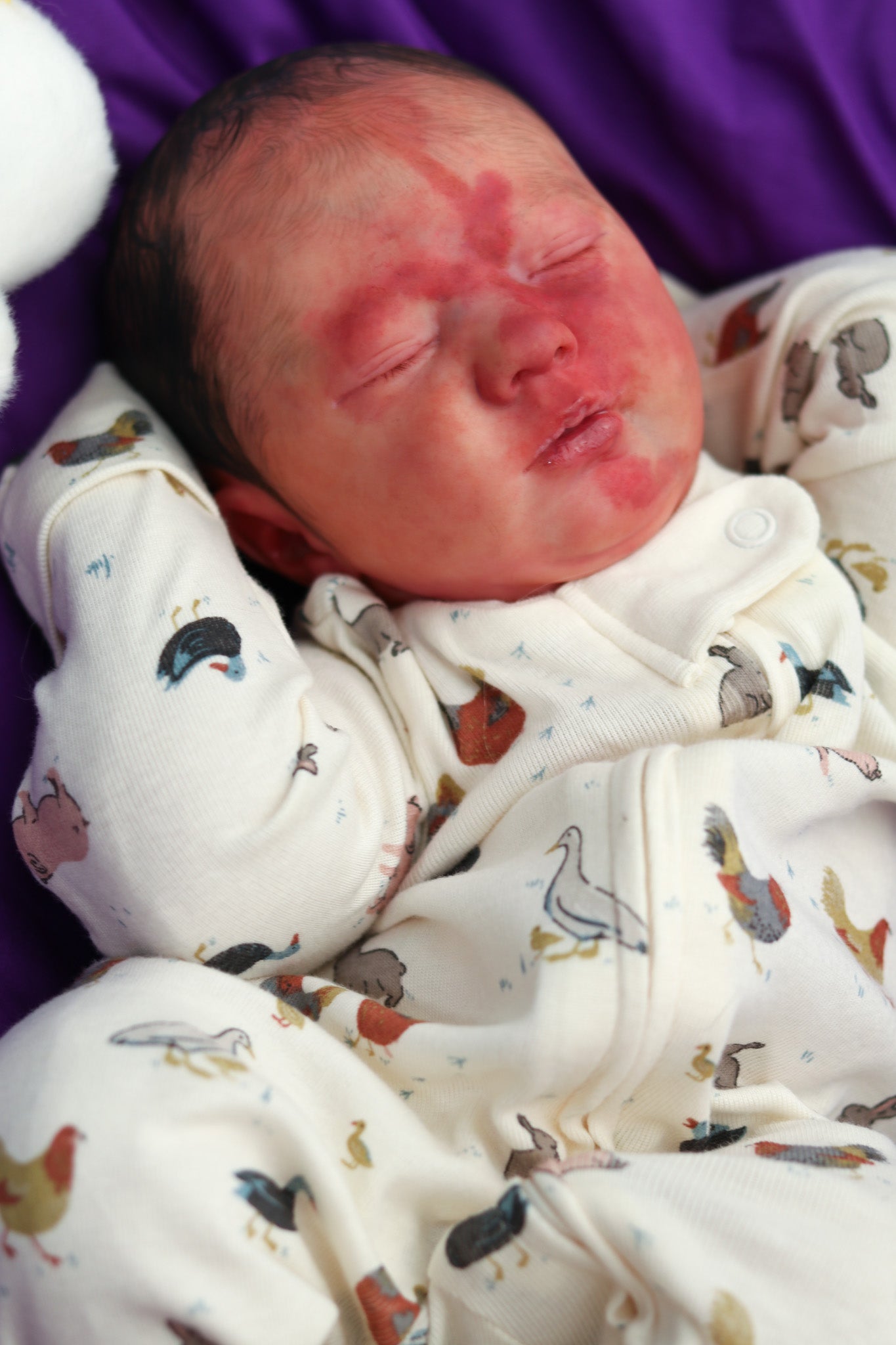 Reborn Cuddle Baby "Olin Wolverine" |Logon by Bountiful Baby